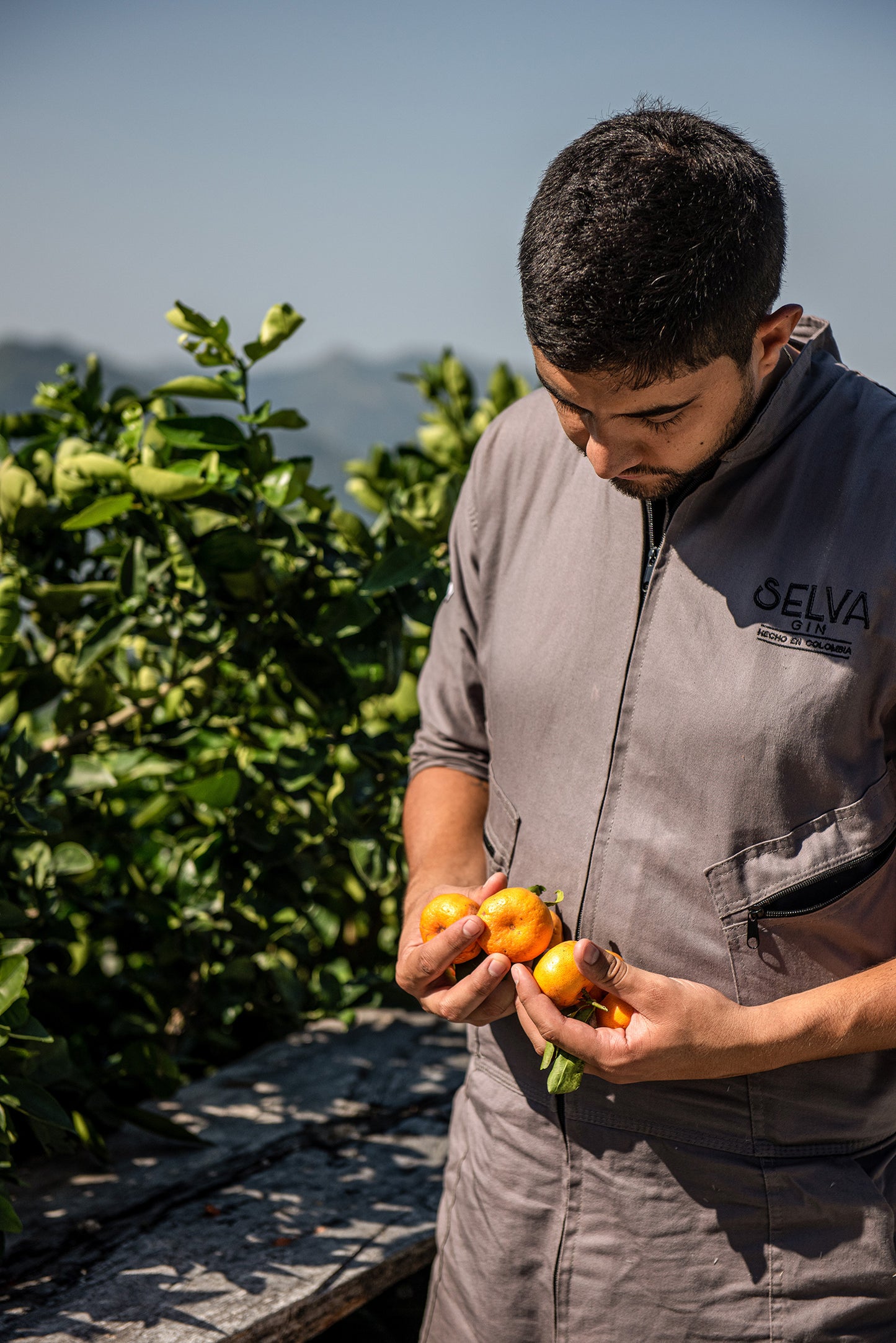 EL HIELO … TAN VITAL COMO EL FUEGO EN UNA COCINA ES EL HIELO PARA UN BARTENDER.